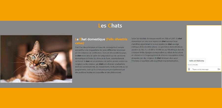 Application chatbot sur Azure par Océane