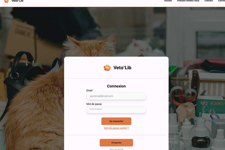 projet développement plateforme react.js